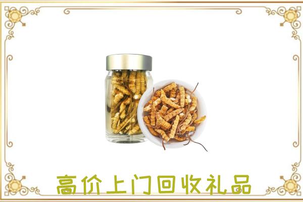 荆门周边回收虫草